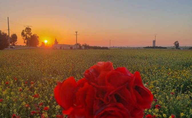 Farm/Ranch for Sale - سيدي عبدالكريم، Morocco, Morocco