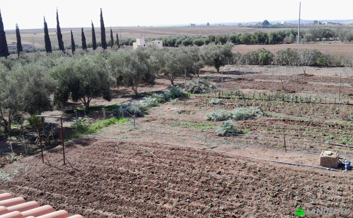 Bauernhof/Ranch zu verkaufen سيدي عبدالكريم، Morocco, Settat Province, Casablanca-Settat, Morocco. Foto 4