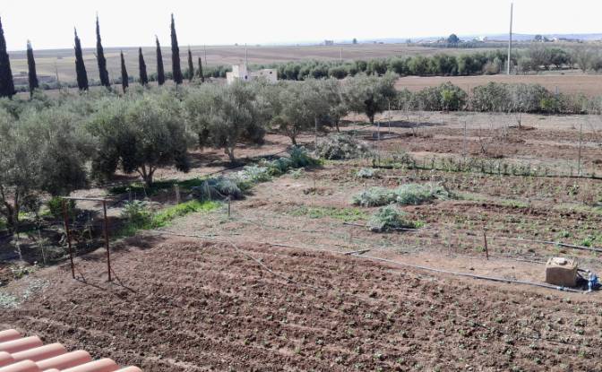 Bauernhof/Ranch zu verkaufen سيدي عبدالكريم،. Foto#4