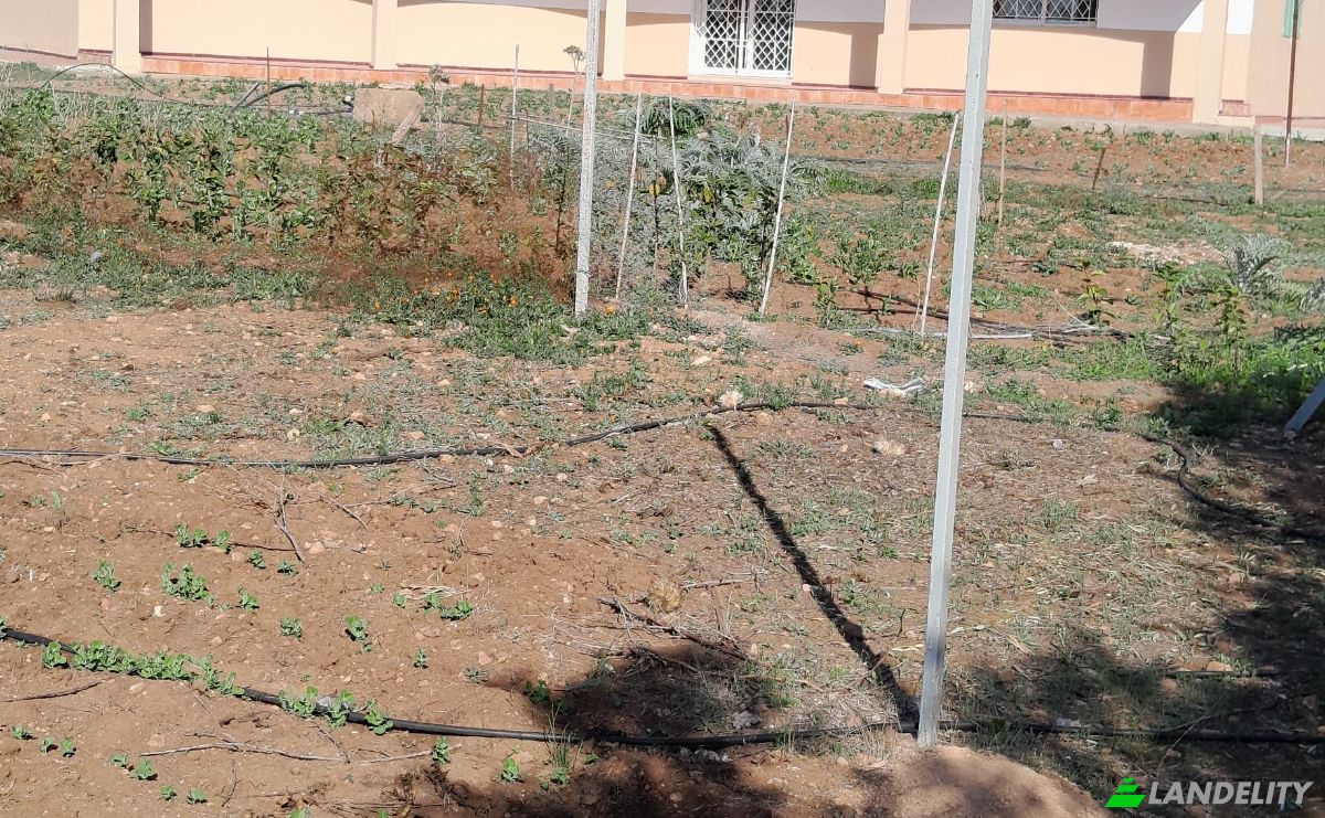 Bauernhof/Ranch zu verkaufen سيدي عبدالكريم، Morocco, Settat Province, Casablanca-Settat, Morocco. Foto 5