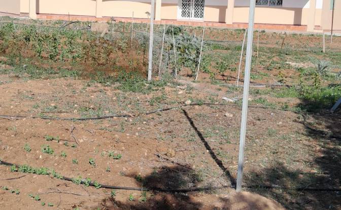 Bauernhof/Ranch zu verkaufen سيدي عبدالكريم،. Foto#5