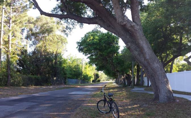 Townhouse for Sale 947 Hamilton Ct, Palm Harbor. Photo#17