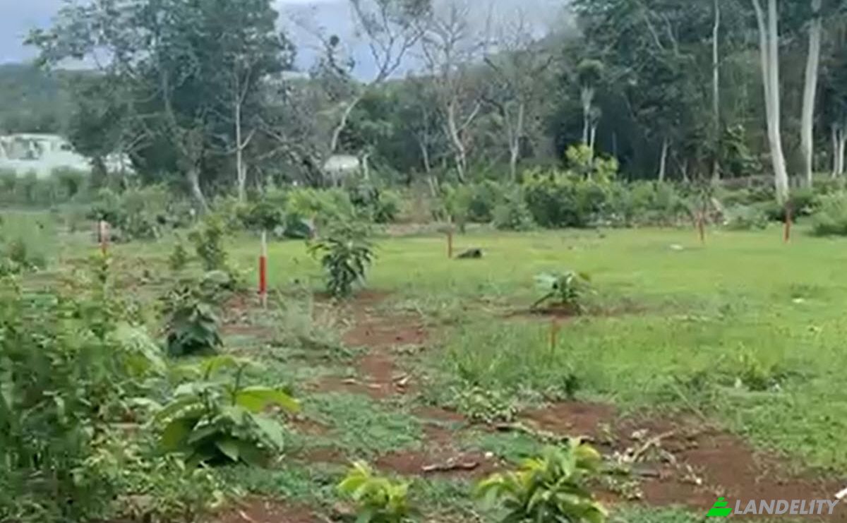 Land Lot for Sale Jl Ancak Sari No3, Pecatu, Badung Regency, Bali, Indonesia, Kec Kuta Sel, Kabupaten Badung, Bali 80361. Photo 4