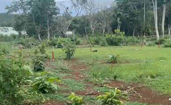 Land Lot for Sale Jl Ancak Sari No3, Pecatu. Photo#4