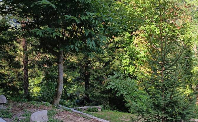 Villa for Sale Via di Migliorini. Photo#3