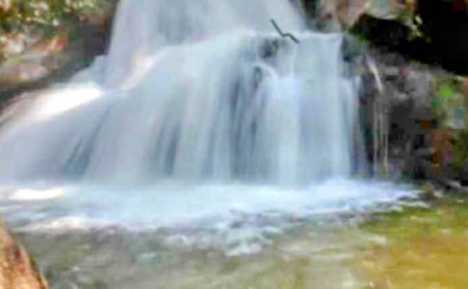 Farm/Ranch for Sale - Mirantao, Brazil