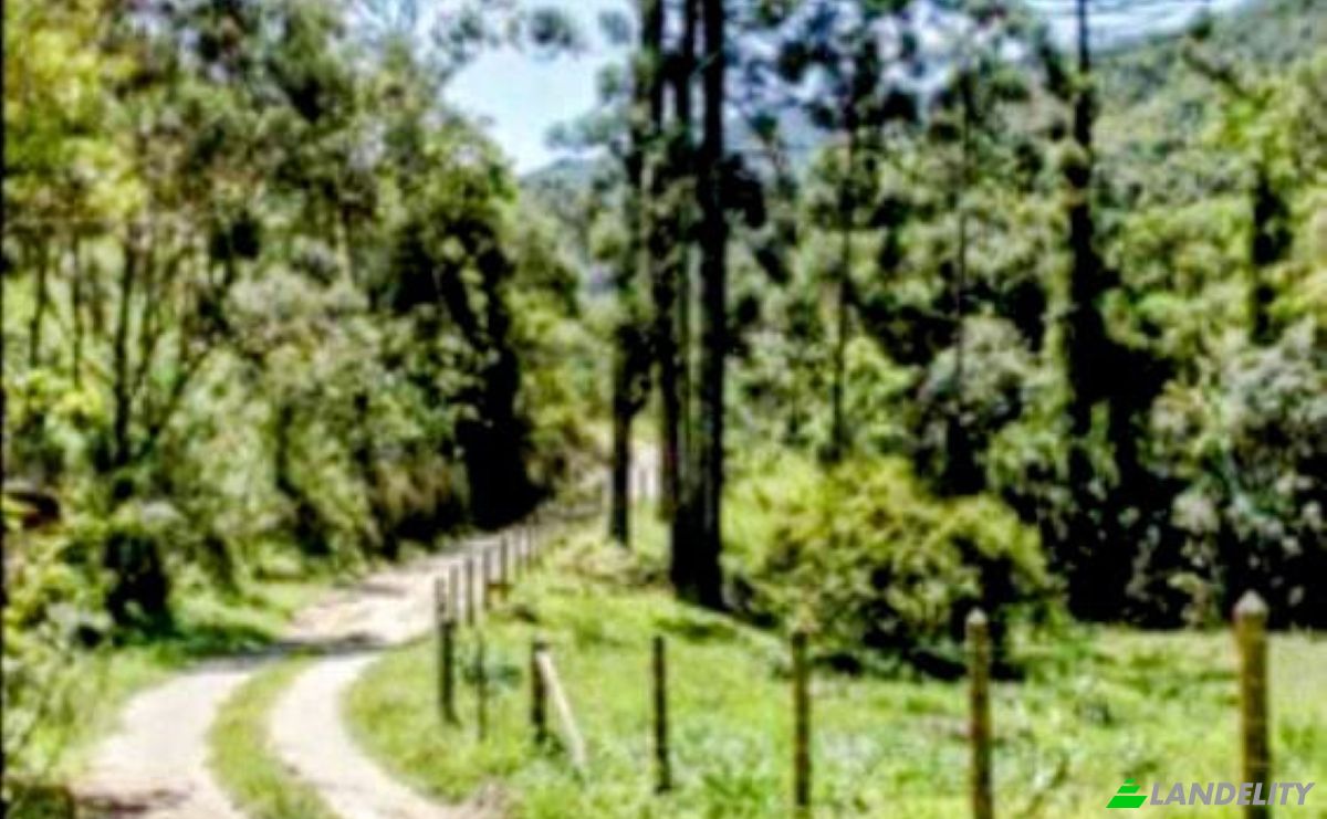 Farm/Ranch for Sale Estr das Flores, Mirantao, Bocaina de Minas, State of Minas Gerais, Brazil, 37340-000. Photo 10