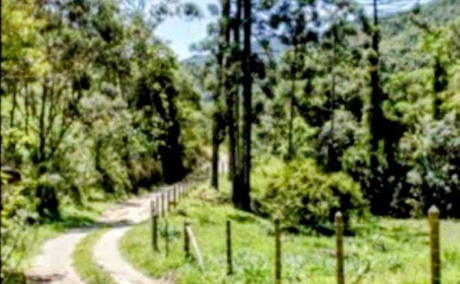 Farm/Ranch for Sale Estr das Flores, Mirantao. Photo#10 Farm/Ranch for Sale Estr das Flores, Mirantao. Photo#10
