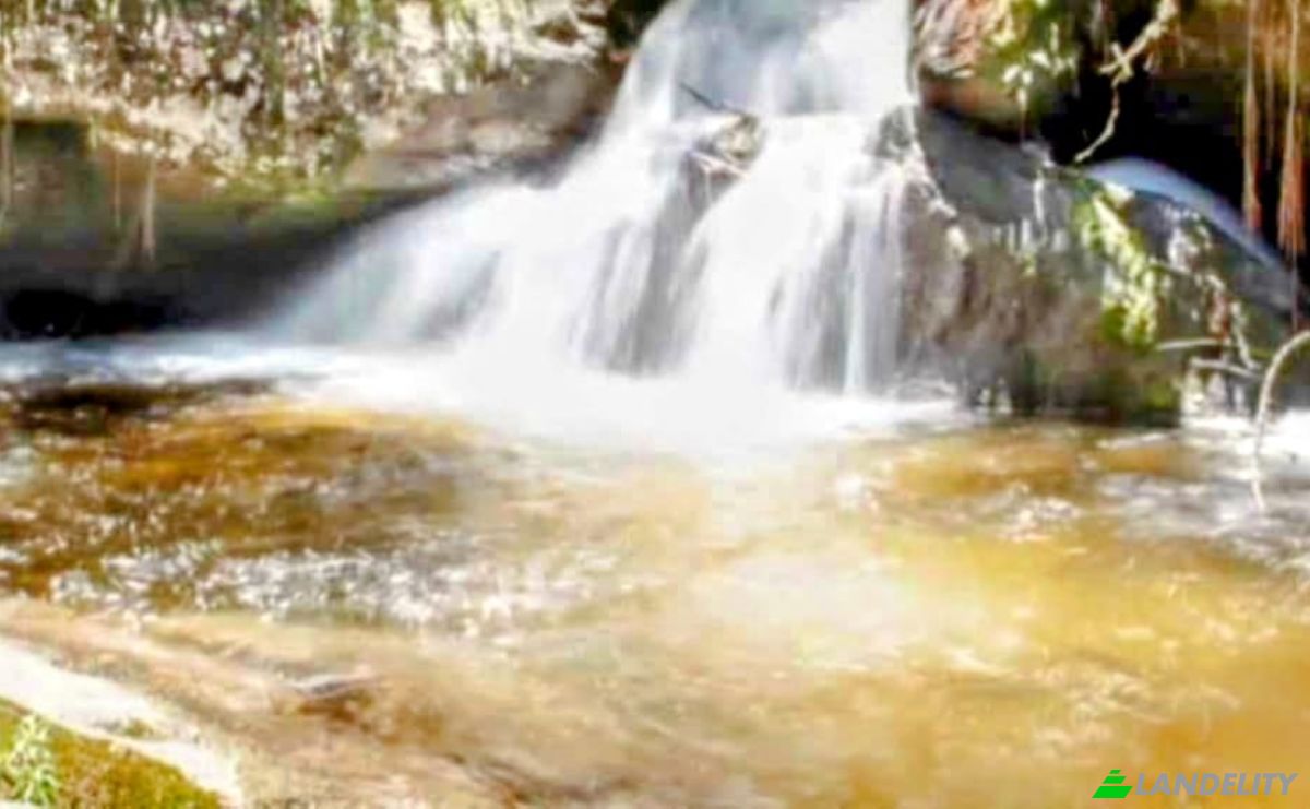 Farm/Ranch for Sale Estr das Flores, Mirantao, Bocaina de Minas, State of Minas Gerais, Brazil, 37340-000. Photo 13
