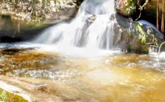 Farm/Ranch for Sale Estr das Flores, Mirantao. Photo#13 Farm/Ranch for Sale Estr das Flores, Mirantao. Photo#13