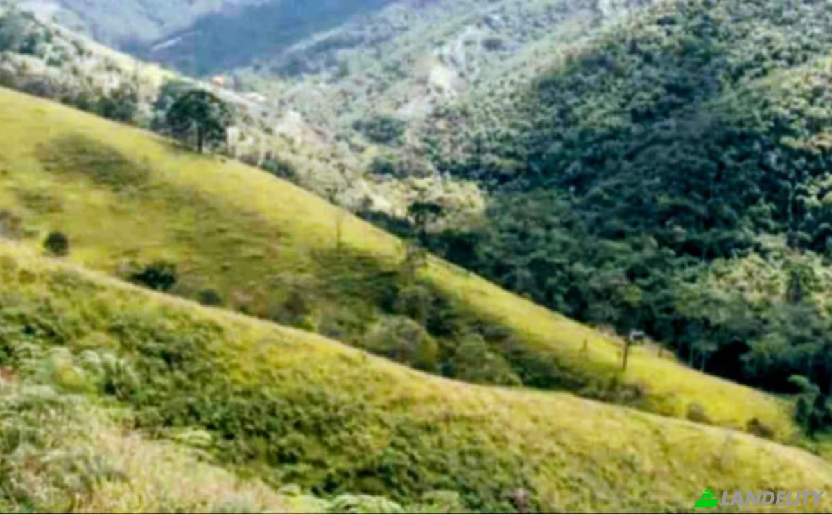 Farm/Ranch for Sale Estr das Flores, Mirantao, Bocaina de Minas, State of Minas Gerais, Brazil, 37340-000. Photo 14