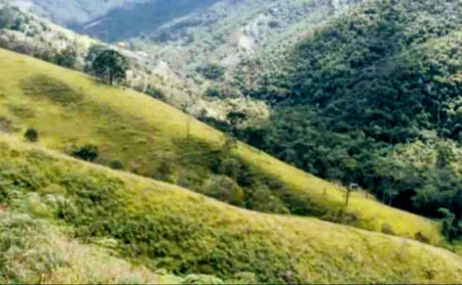 Farm/Ranch for Sale Estr das Flores, Mirantao. Photo#14 Farm/Ranch for Sale Estr das Flores, Mirantao. Photo#14