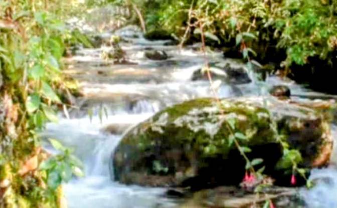 Farm/Ranch for Sale Estr das Flores, Mirantao. Photo#15 Farm/Ranch for Sale Estr das Flores, Mirantao. Photo#15