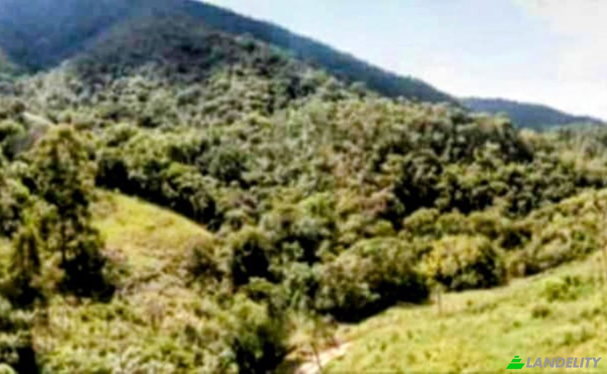 Farm/Ranch for Sale Estr das Flores, Mirantao, Bocaina de Minas, State of Minas Gerais, Brazil, 37340-000. Photo 18