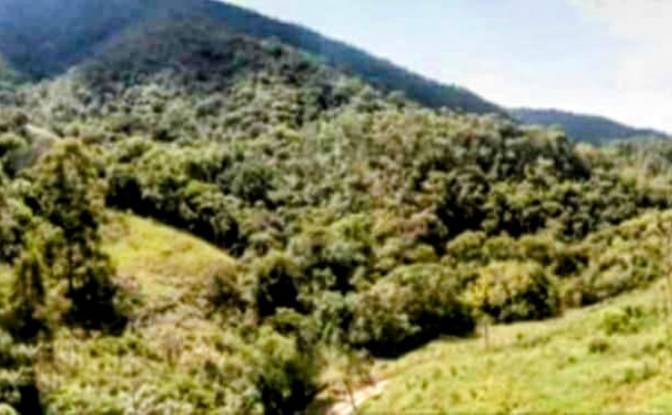 Farm/Ranch for Sale Estr das Flores, Mirantao. Photo#18 Farm/Ranch for Sale Estr das Flores, Mirantao. Photo#18