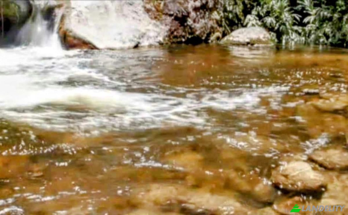 Farm/Ranch for Sale Estr das Flores, Mirantao, Bocaina de Minas, State of Minas Gerais, Brazil, 37340-000. Photo 19
