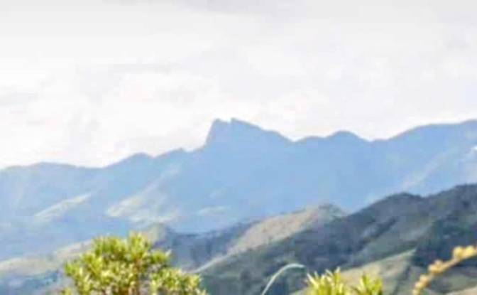 Farm/Ranch for Sale Estr das Flores, Mirantao. Photo#20 Farm/Ranch for Sale Estr das Flores, Mirantao. Photo#20