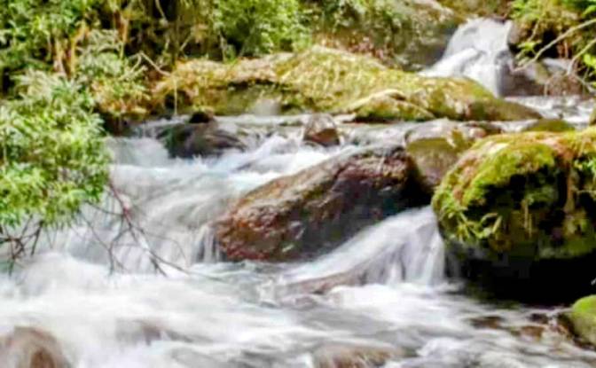 Farm/Ranch for Sale Estr das Flores, Mirantao. Photo#22 Farm/Ranch for Sale Estr das Flores, Mirantao. Photo#22