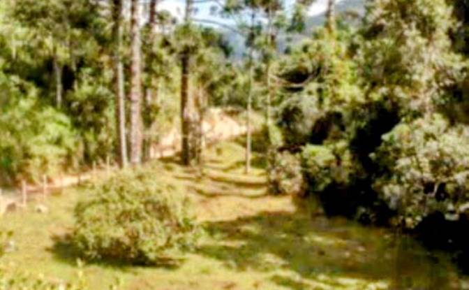 Farm/Ranch for Sale Estr das Flores, Mirantao. Photo#23 Farm/Ranch for Sale Estr das Flores, Mirantao. Photo#23