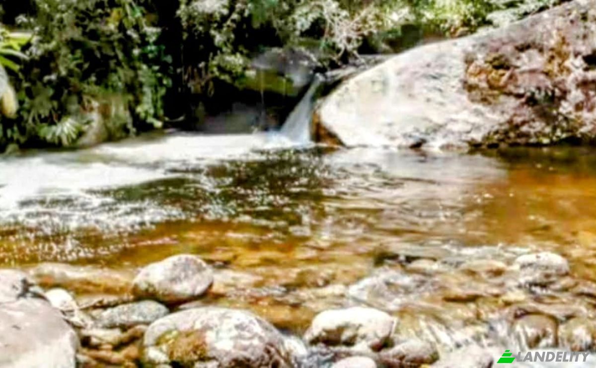 Farm/Ranch for Sale Estr das Flores, Mirantao, Bocaina de Minas, State of Minas Gerais, Brazil, 37340-000. Photo 4