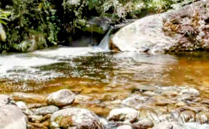 Farm/Ranch for Sale Estr das Flores, Mirantao. Photo#4 Farm/Ranch for Sale Estr das Flores, Mirantao. Photo#4