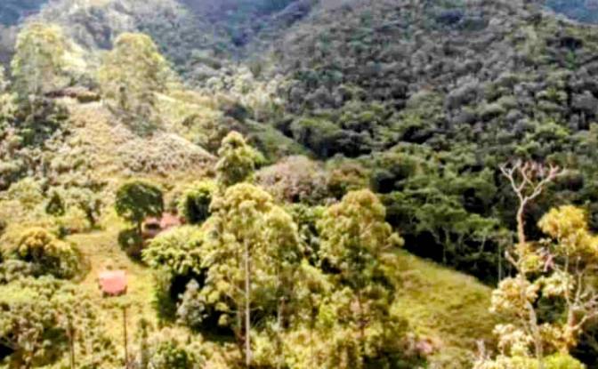 Farm/Ranch for Sale Estr das Flores, Mirantao. Photo#5 Farm/Ranch for Sale Estr das Flores, Mirantao. Photo#5