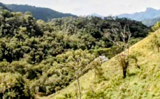 Farm/Ranch for Sale Estr das Flores, Mirantao. Photo#7 Farm/Ranch for Sale Estr das Flores, Mirantao. Photo#7