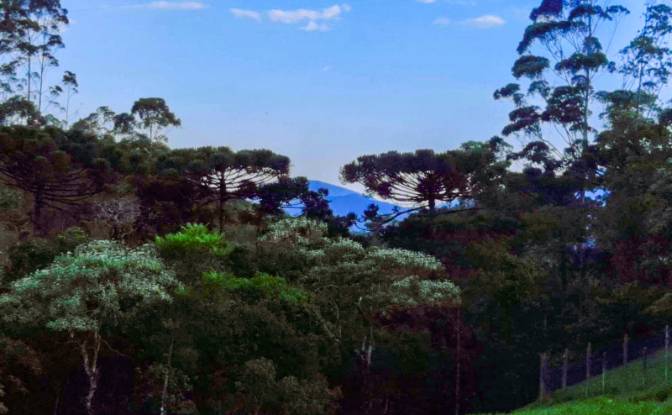 Cabin/Cottage for Sale Mirantao, Bocaina de Minas. Photo#11