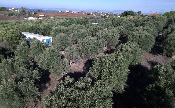 Lote de terreno en venta Moudania 632 00. Foto#12