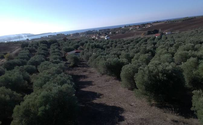 Lote de terreno en venta Moudania 632 00. Foto#4
