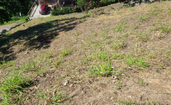 Land Lot for Sale Topridge, Sandy Bay, Roatan. Photo#11 Land Lot for Sale Topridge, Sandy Bay, Roatan. Photo#11