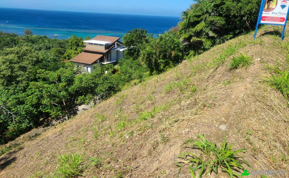 Land Lot for Sale Topridge, Sandy Bay, Roatan, Bay Islands Department, Honduras, Islas de la Bahia. Photo 12