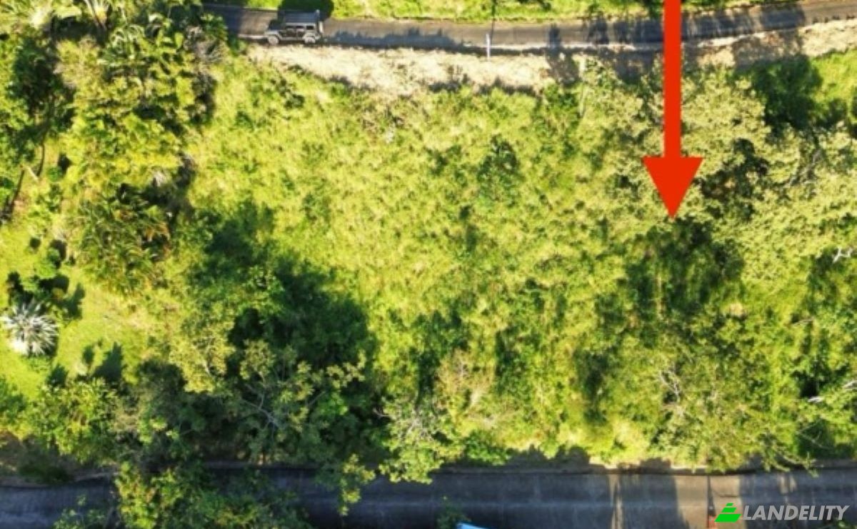 Land Lot for Sale Topridge, Sandy Bay, Roatan, Bay Islands Department, Honduras, Islas de la Bahia. Photo 21
