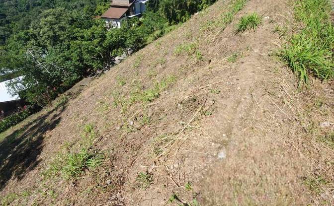 Land Lot for Sale Topridge, Sandy Bay, Roatan. Photo#6 Land Lot for Sale Topridge, Sandy Bay, Roatan. Photo#6