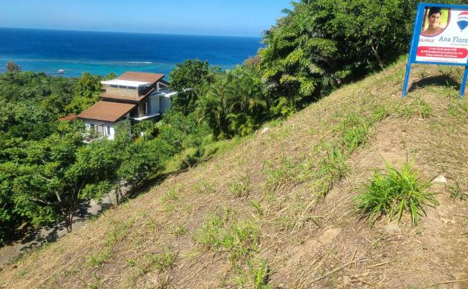 Grondperceel Te koop Topridge, Sandy Bay, Roatan. Foto#14