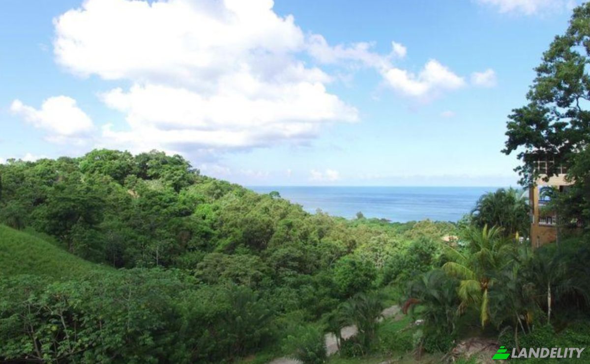 Grondperceel Te koop Topridge, Sandy Bay, Roatan, Bay Islands Department, Honduras, Islas de la Bahia. Foto 9