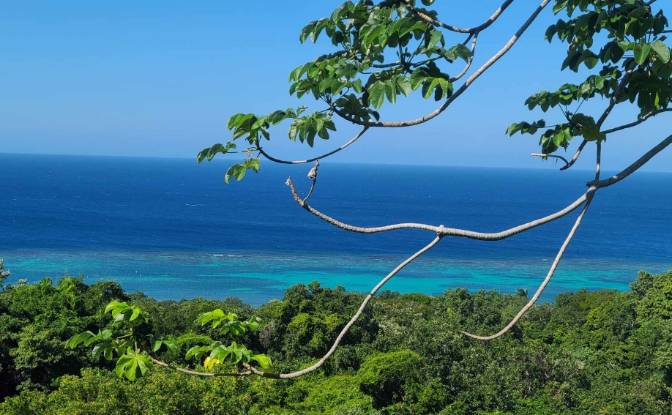Grondperceel Te koop Topridge, Sandy Bay, Roatan. Foto#6