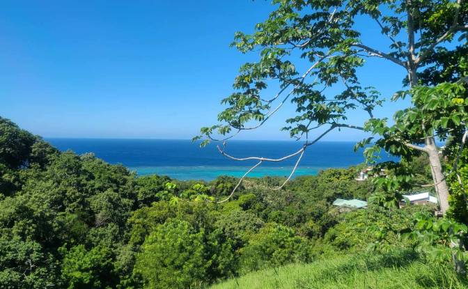 Grondperceel Te koop Topridge, Sandy Bay, Roatan. Foto#13