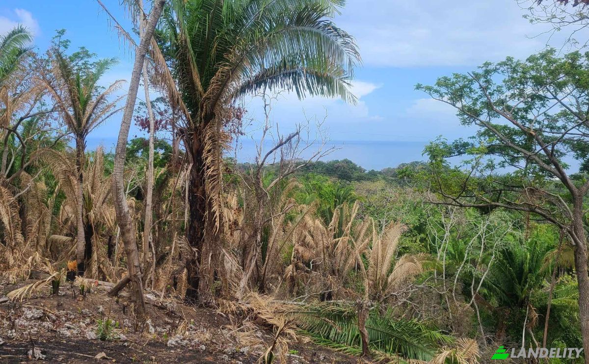 Land Lot for Sale Palmetto Bay Rd, Bay Islands, French Harbour, Roatan, Bay Islands Department, Honduras. Photo 6