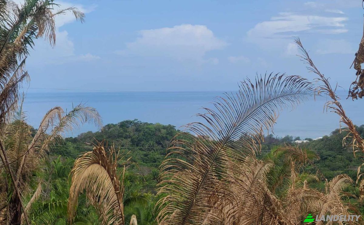 Land Lot for Sale Palmetto Bay Rd, Bay Islands, French Harbour, Roatan, Bay Islands Department, Honduras. Photo 15
