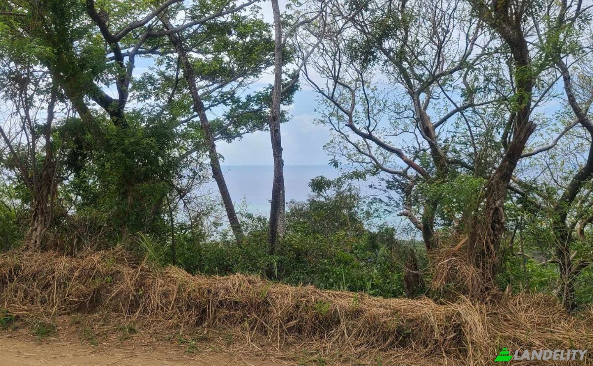 Land Lot for Sale Palmetto Bay Rd, Bay Islands, French Harbour, Roatan, Bay Islands Department, Honduras. Photo 16