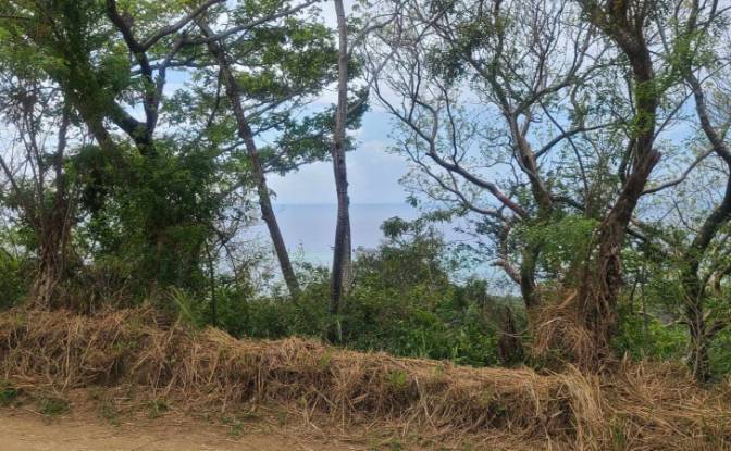 Land Lot for Sale Palmetto Bay Rd, Bay Islands. Photo#16