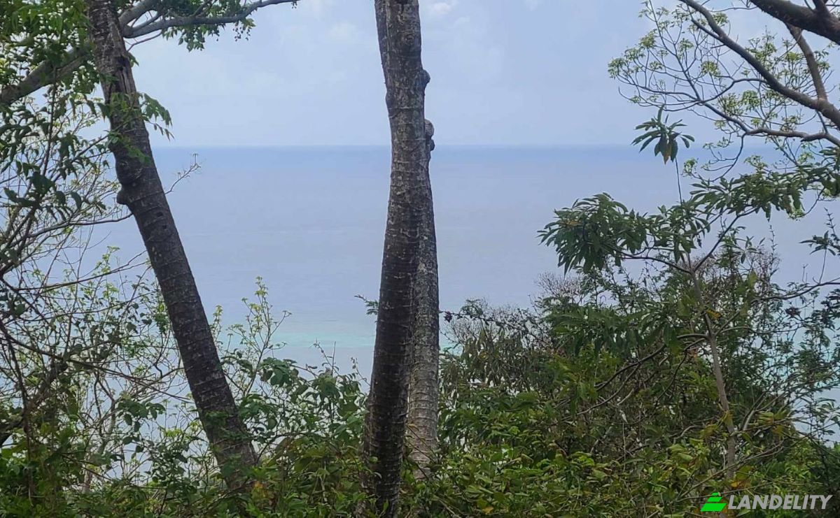 Land Lot for Sale Palmetto Bay Rd, Bay Islands, French Harbour, Roatan, Bay Islands Department, Honduras. Photo 17