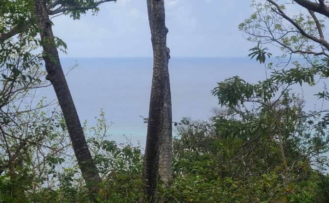 Land Lot for Sale Palmetto Bay Rd, Bay Islands. Photo#17