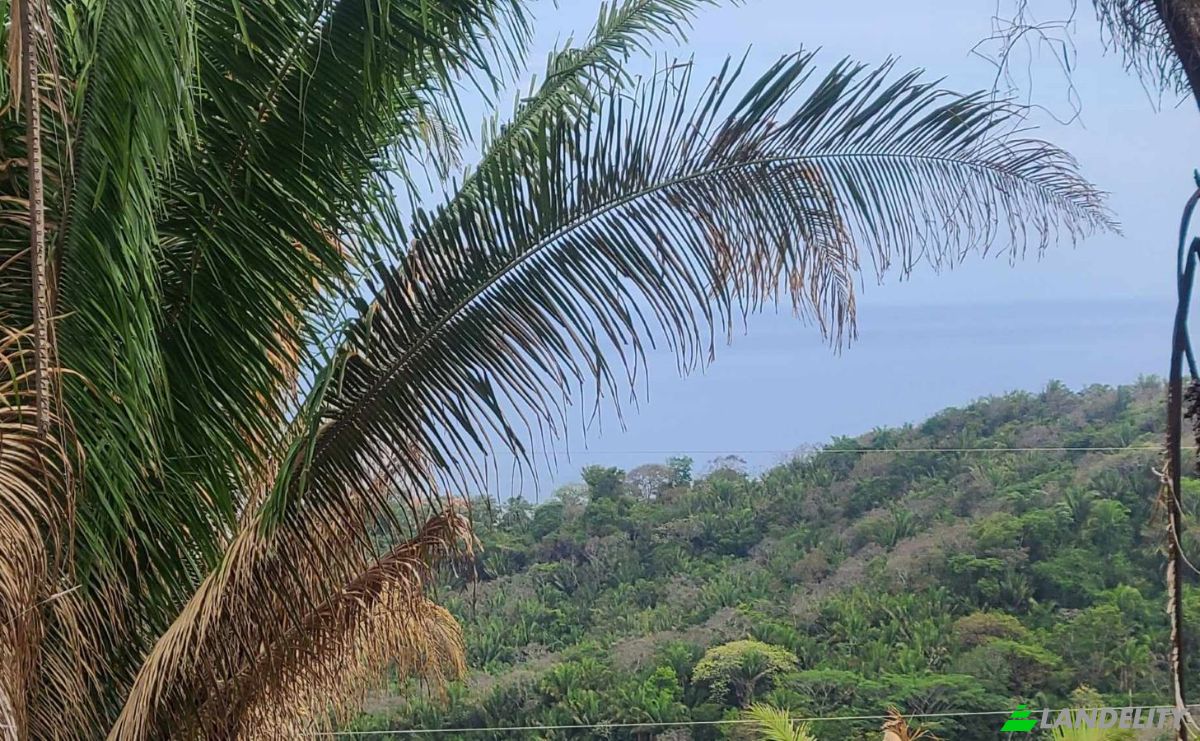 Land Lot for Sale Palmetto Bay Rd, Bay Islands, French Harbour, Roatan, Bay Islands Department, Honduras. Photo 18