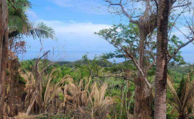 Land Lot for Sale Palmetto Bay Rd, Bay Islands. Photo#20