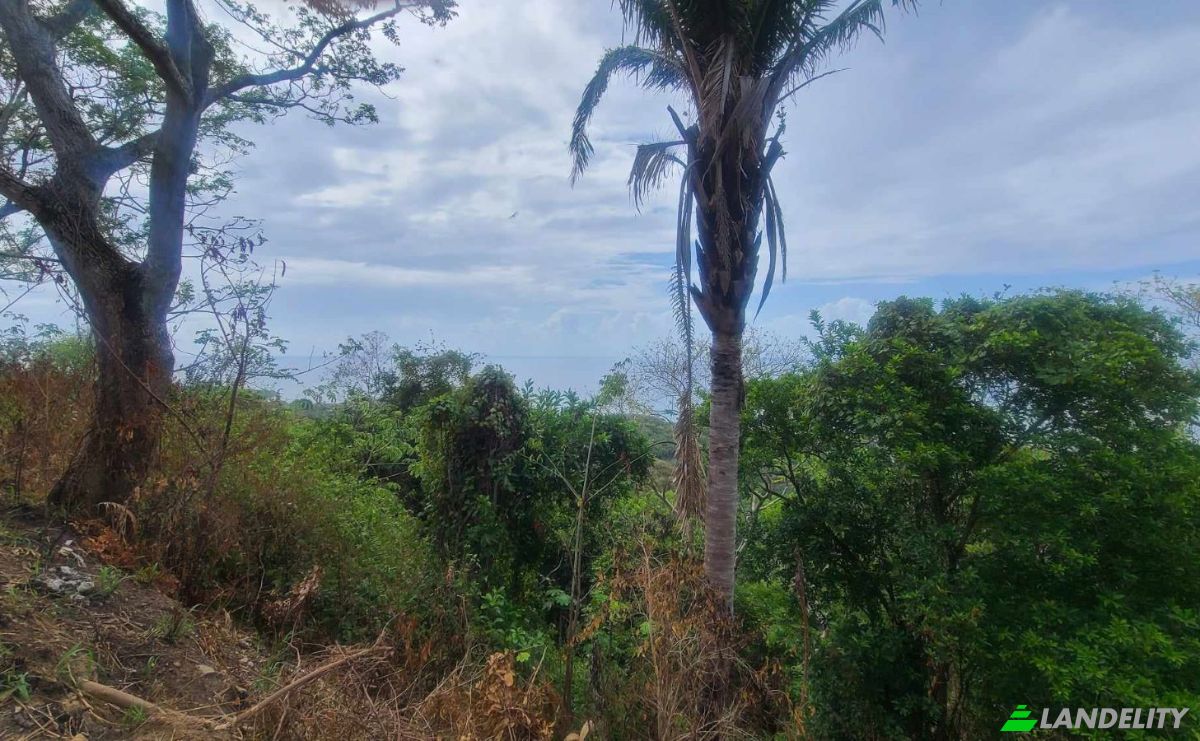 Land Lot for Sale Palmetto Bay Rd, Bay Islands, French Harbour, Roatan, Bay Islands Department, Honduras. Photo 21
