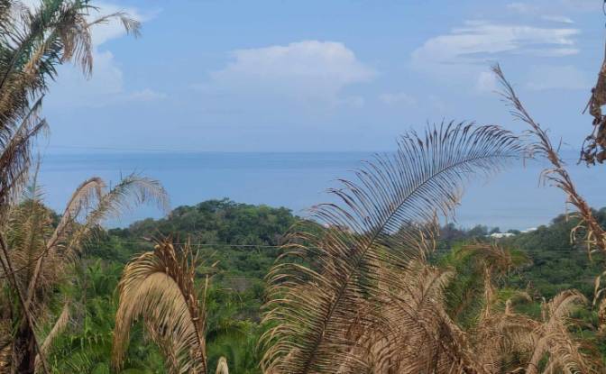 Land Lot for Sale Palmetto Bay Rd, Bay Islands. Photo#22