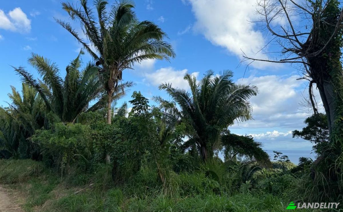 Land Lot for Sale Palmetto Bay Rd, Bay Islands, French Harbour, Roatan, Bay Islands Department, Honduras. Photo 7