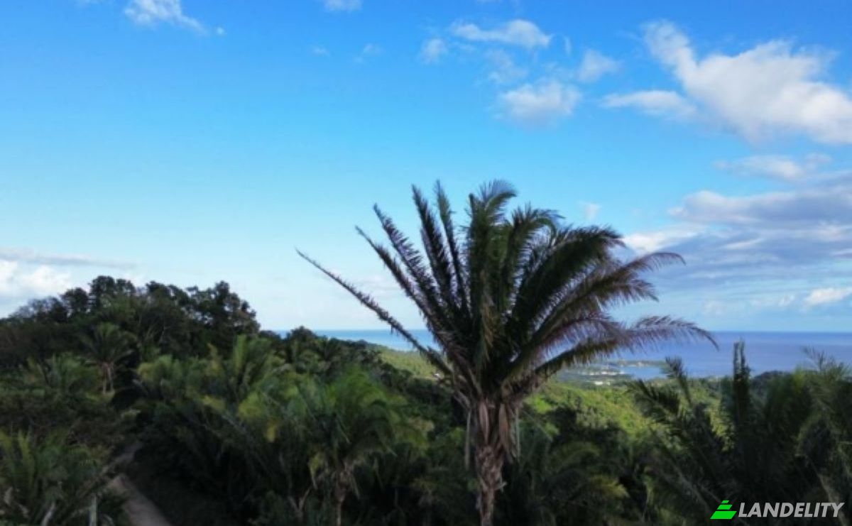 Land Lot for Sale Palmetto Bay Rd, Bay Islands, French Harbour, Roatan, Bay Islands Department, Honduras. Photo 2